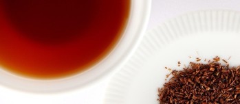 Peut-on boire du Rooibos le soir ? Sommeil, bienfaits et conseils de dégustation